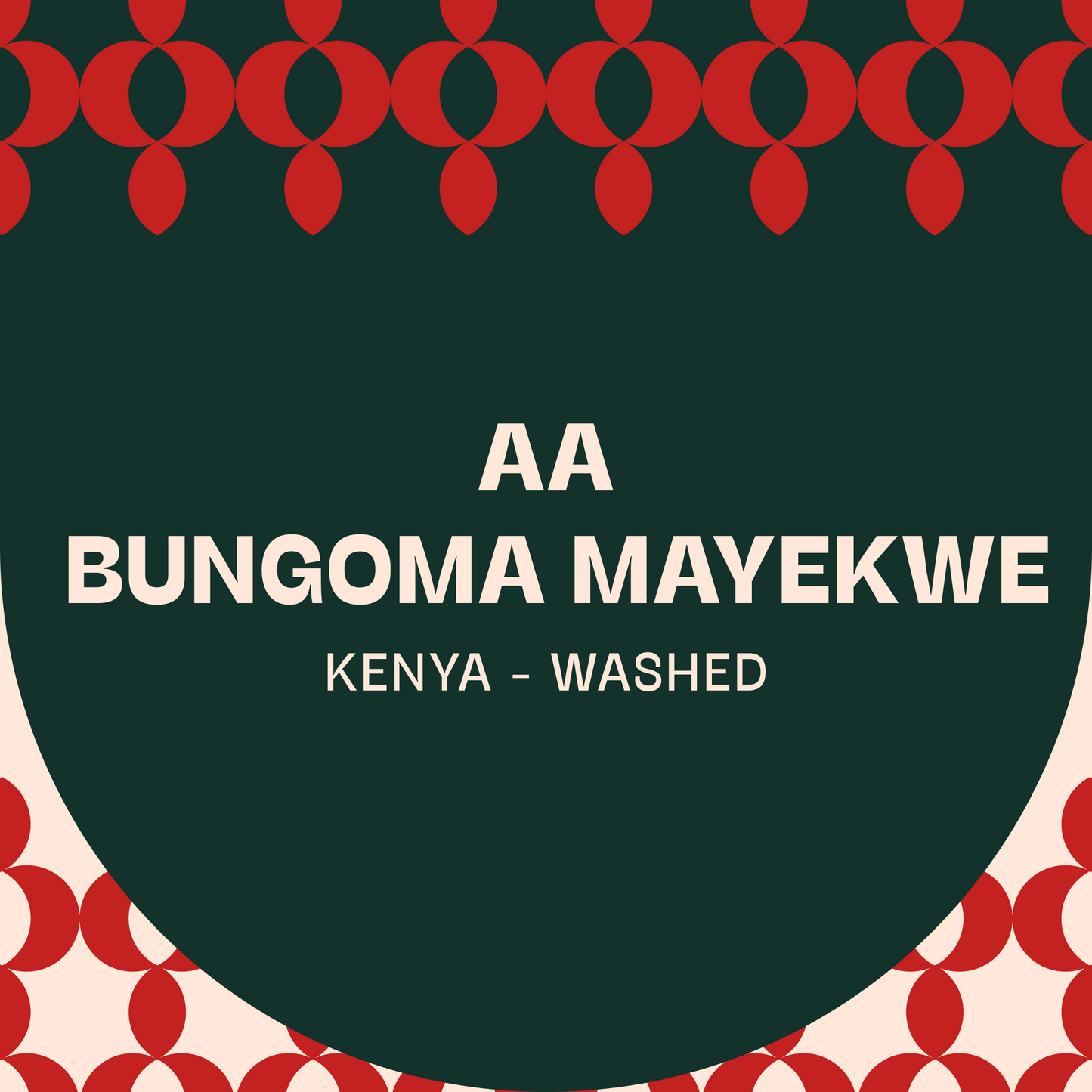 Kenya, Bungoma AA