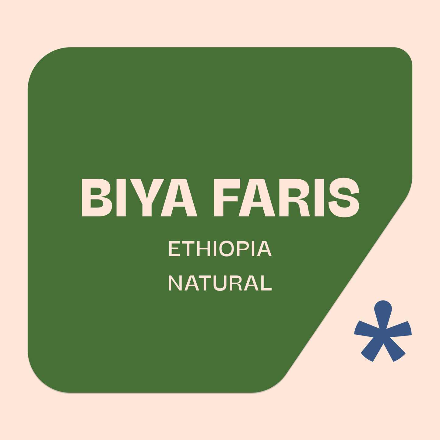 Biya Faris