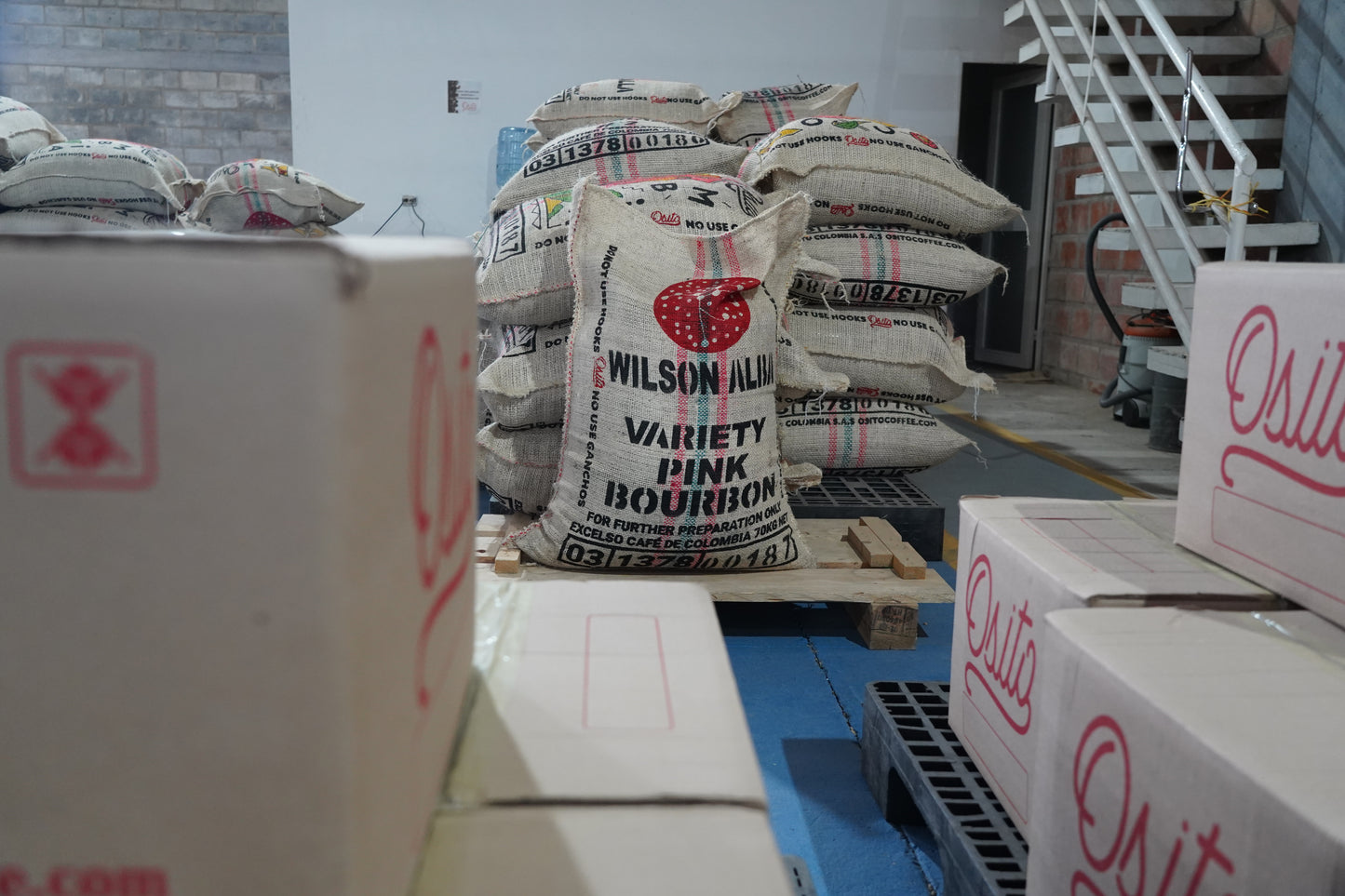 Colombia, Wilson Alba