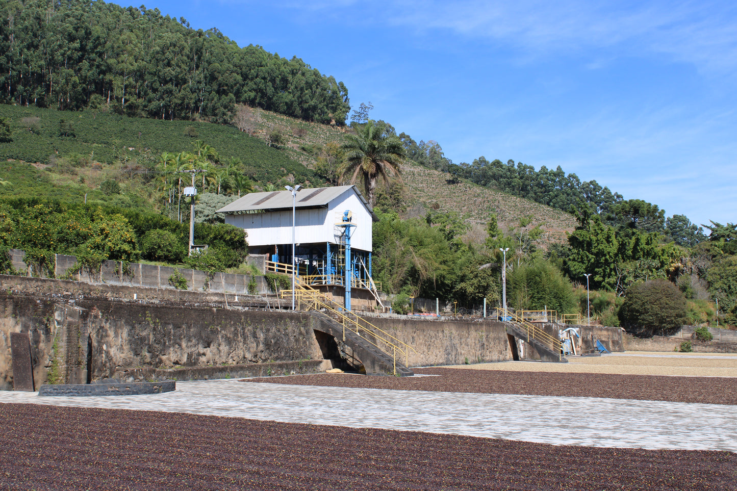 Brazil, Fazenda Recreio
