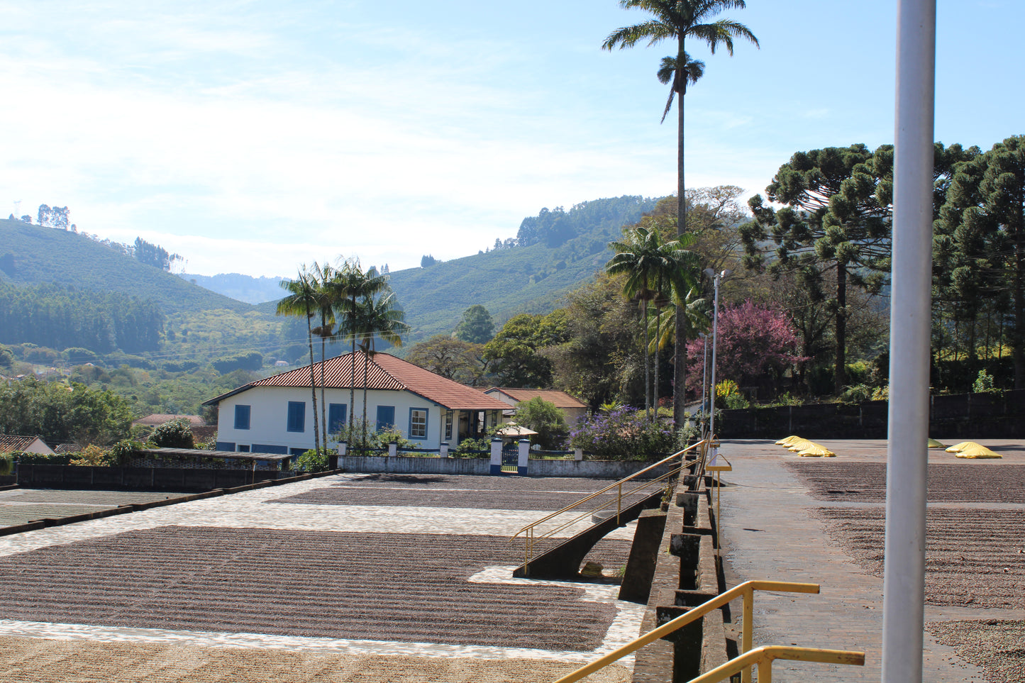 Brazil, Fazenda Recreio