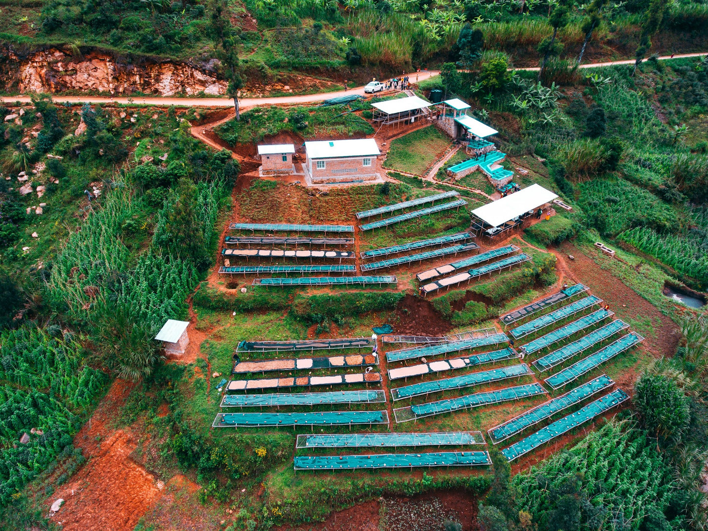 Rwanda, Shyira Washing Station - Anoxic Washed