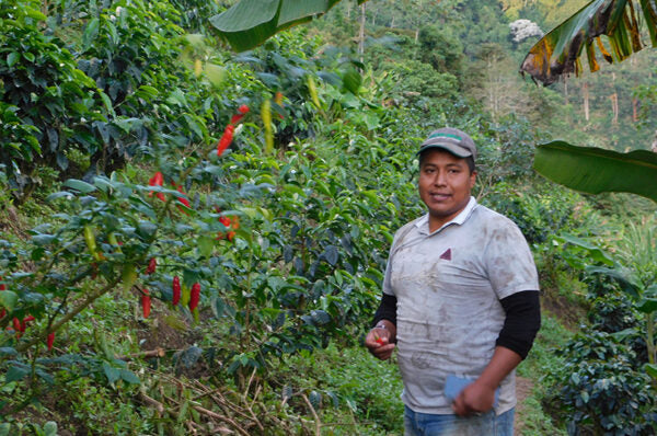 Finca La Esmerelda