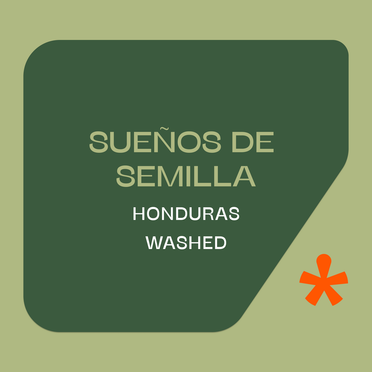 Sueños de Semilla