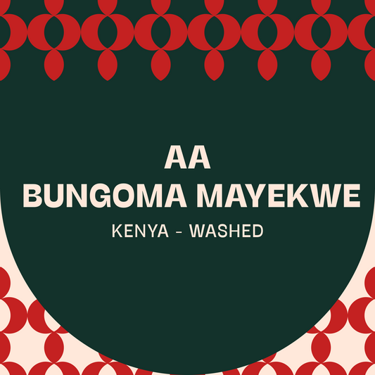 Kenya, Bungoma AA