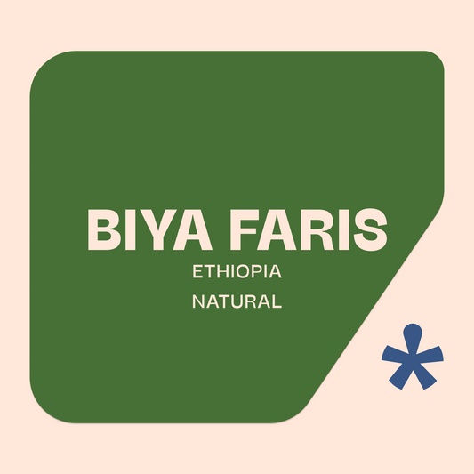 Biya Faris