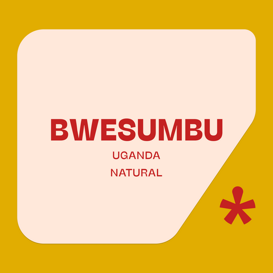 Bwesumbu