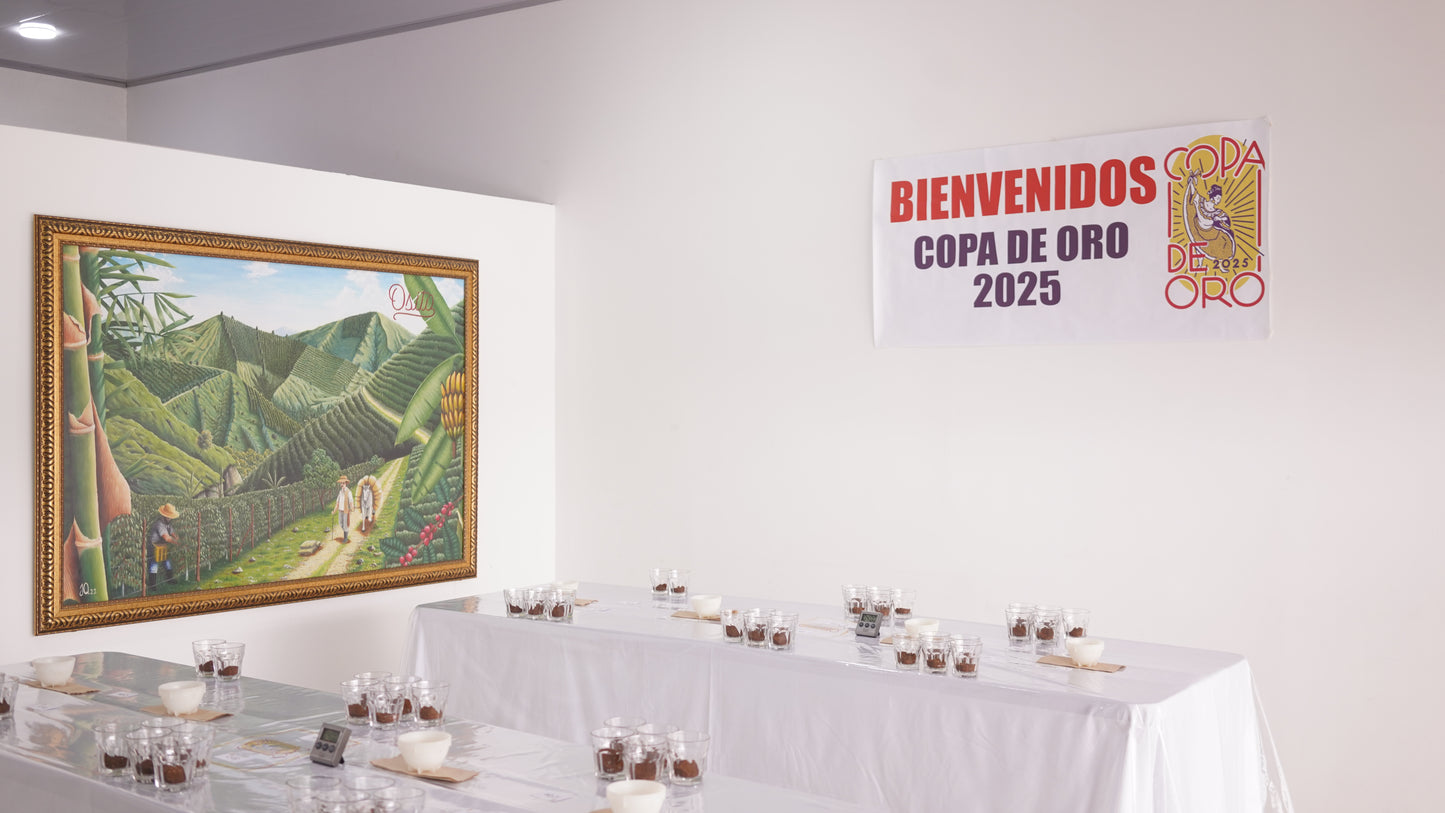 Edernoman Toledo - Copa De Oro Competition Coffee