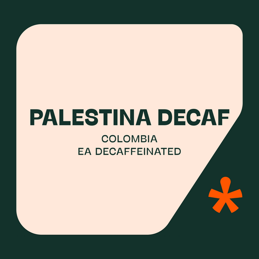 Colombia, Palestina EA Decaf