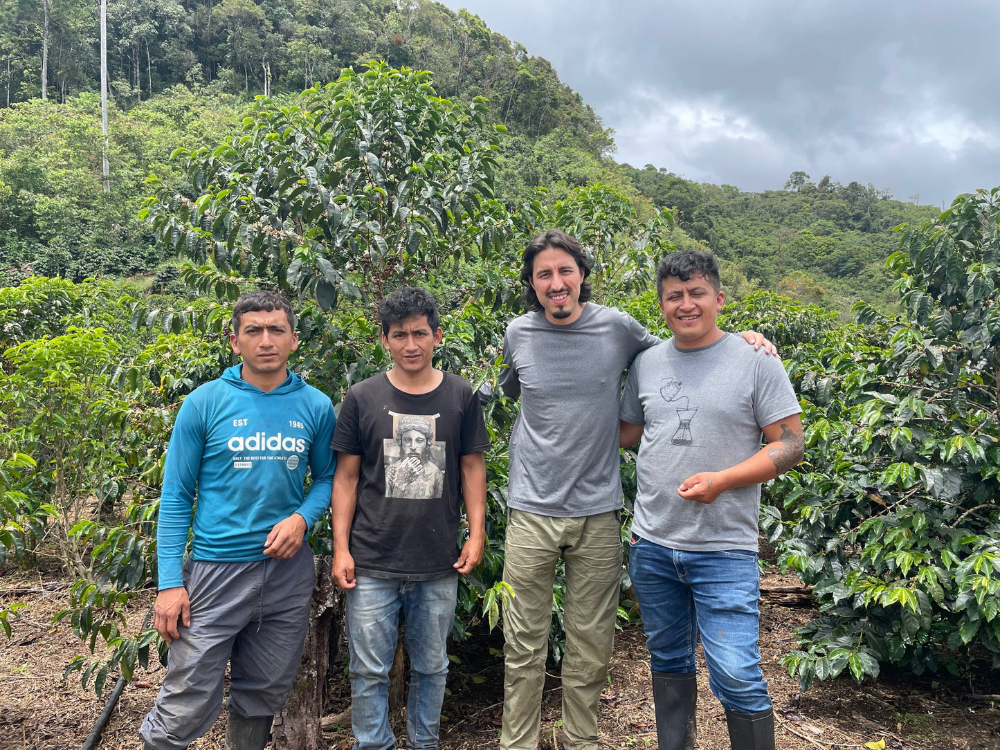 Finca Artemira