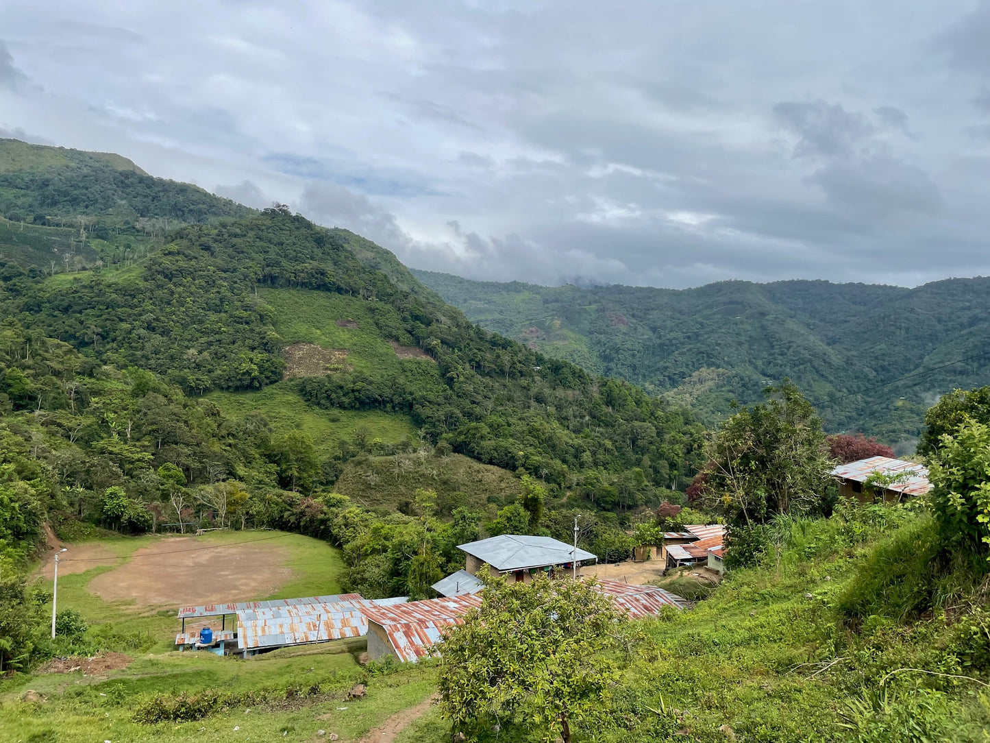 Finca Artemira