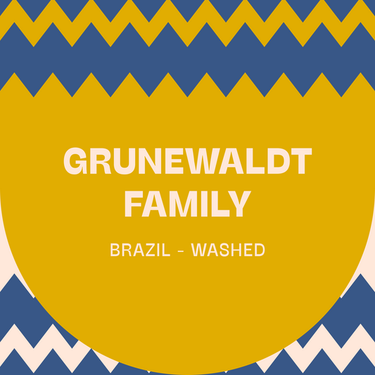 Brazil, Grunewaldt Family