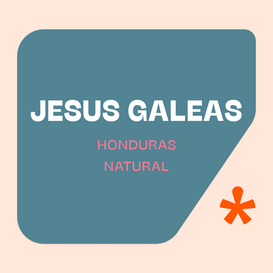 Jesus Galeas