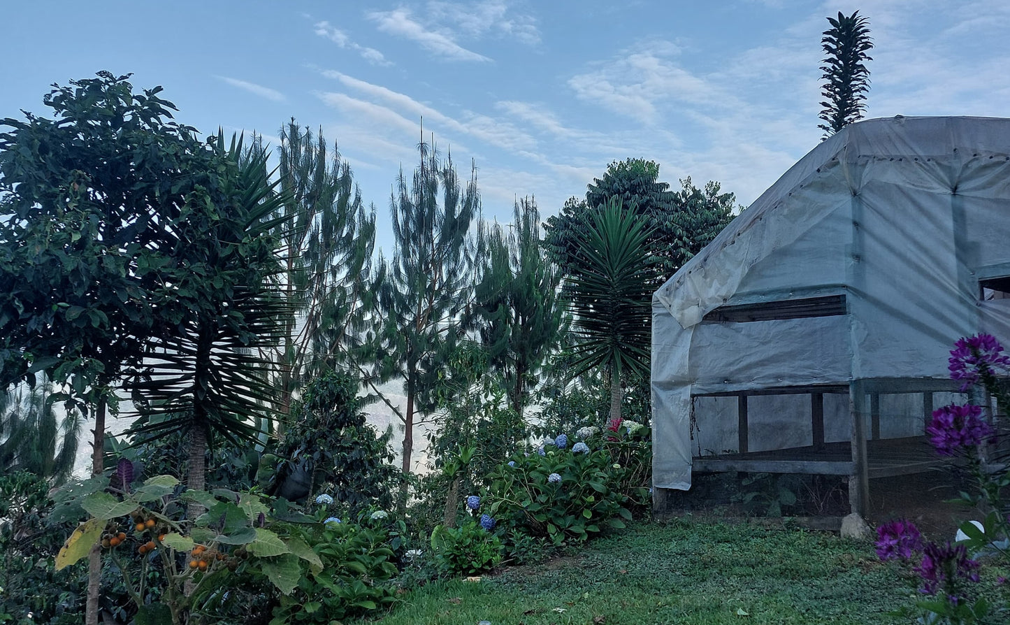 Peru, Manuel Marlo Baca