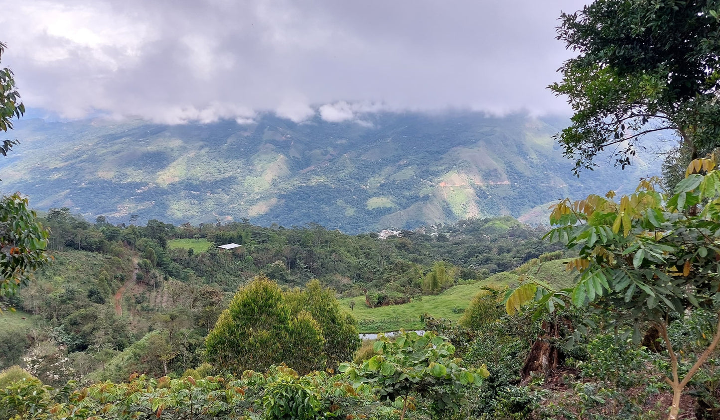 Peru, Manuel Marlo Baca