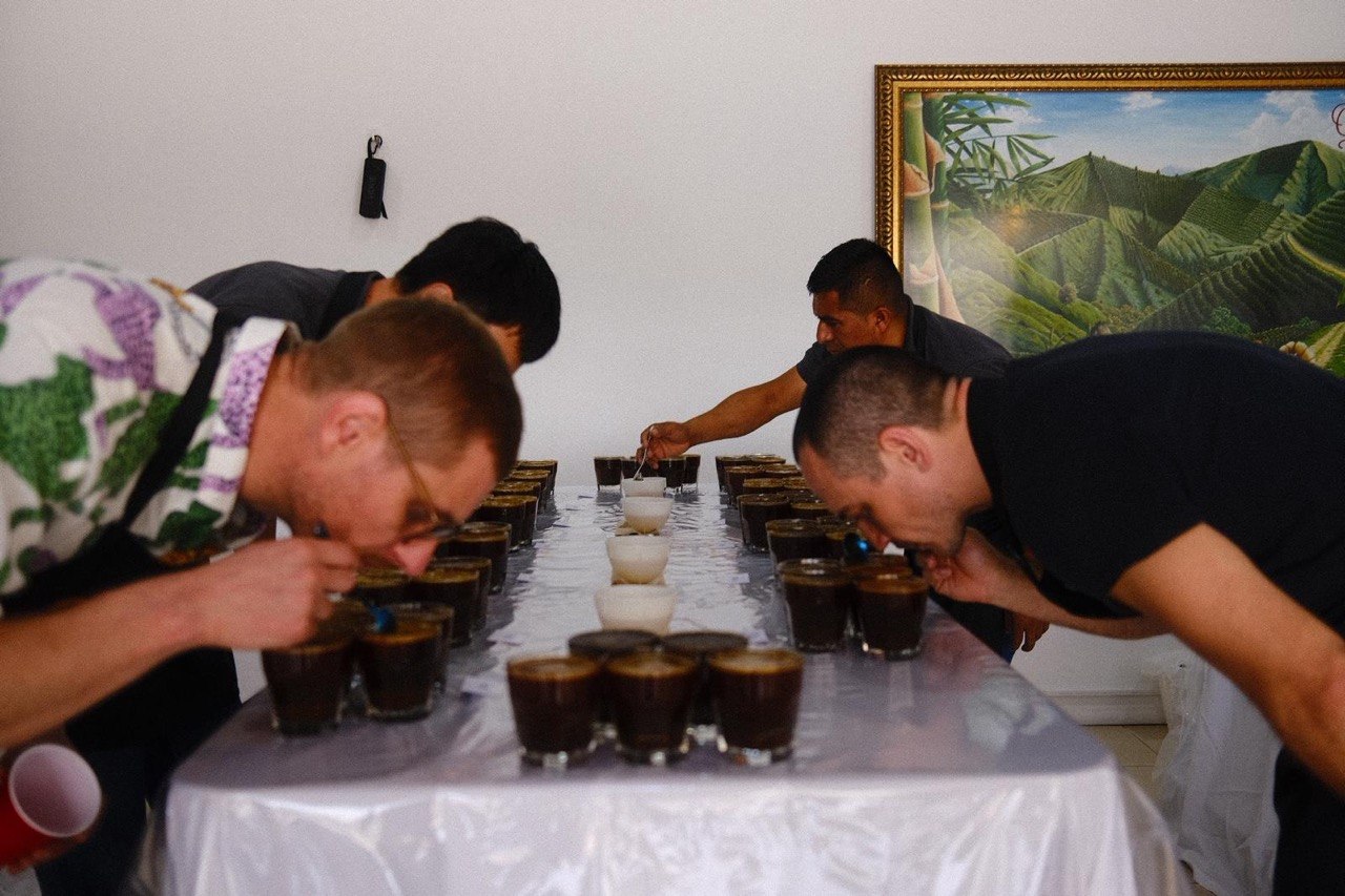 Edernoman Toledo - Copa De Oro Competition Coffee
